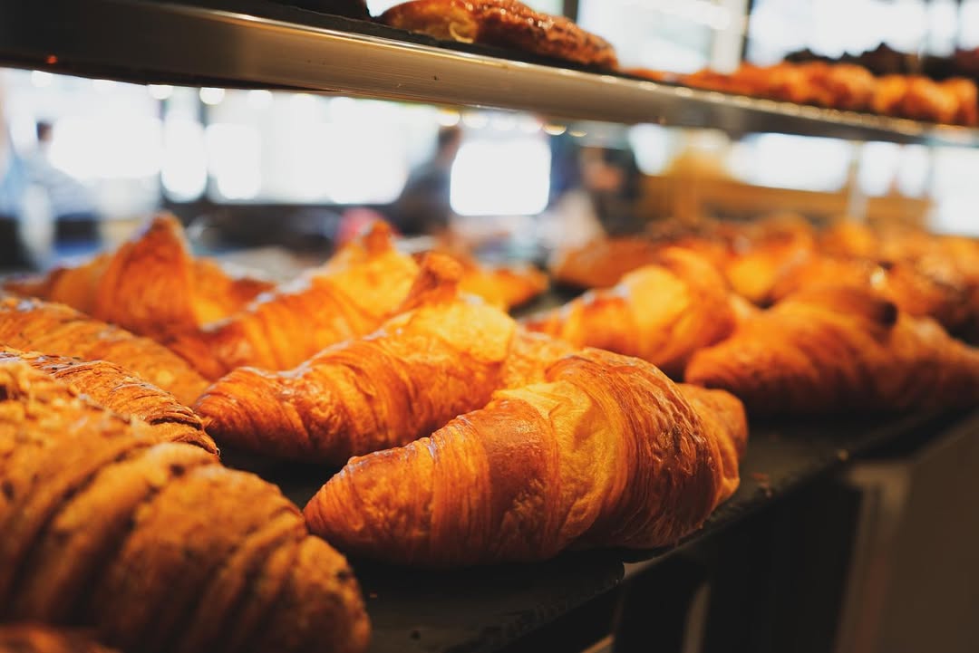 293140807_1219904748771036_6946839803840430409_n